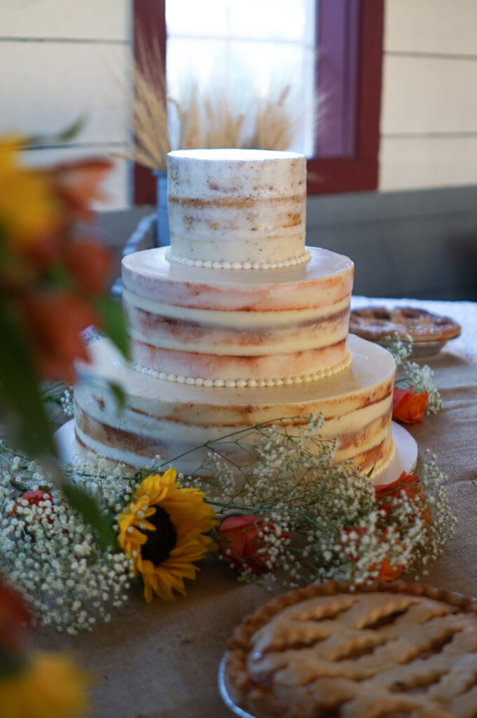 DSC06037 Golden Hour Wedding Photography - Pacific Northwest