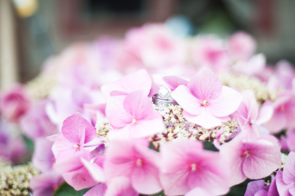 bnp-9721 Golden Hour Wedding Photography - Pacific Northwest
